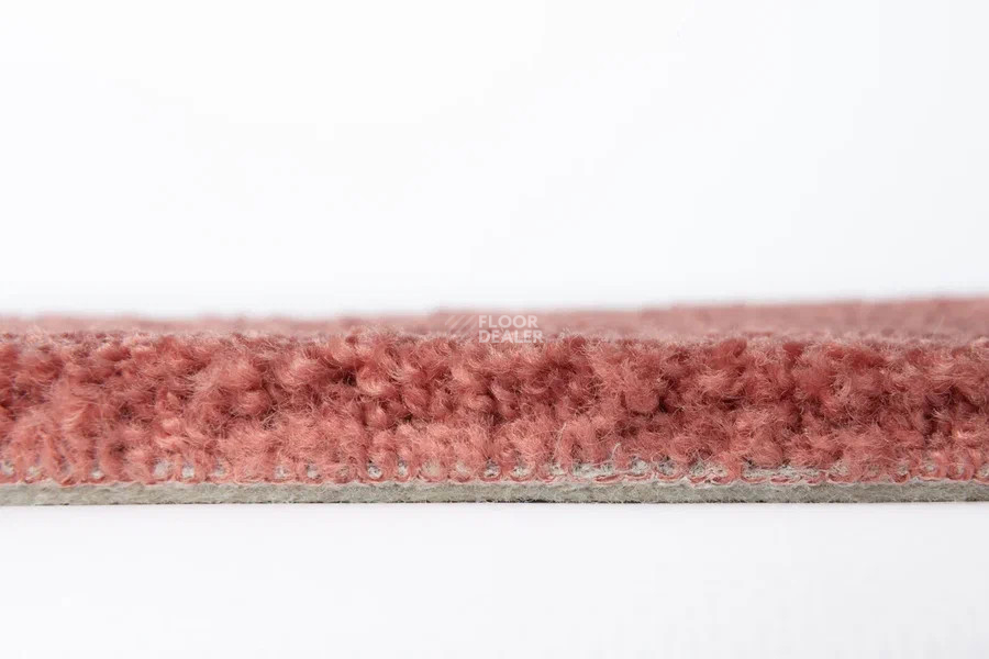 Vorwerk Superior 1067 Mira Vorwerk 1n49 фото 3 | FLOORDEALER